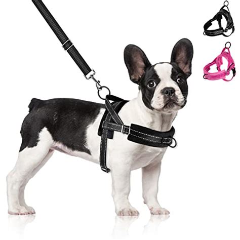 prada hundegeschirr|prada animal accessories.